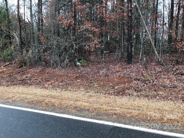 356 Harrison Road Bostic, NC 28018 - Photo 4 of 9 a view of a forest with trees in the background