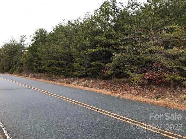 356 Harrison Road Bostic, NC 28018 - Photo 5 of 9 a view of a forest view