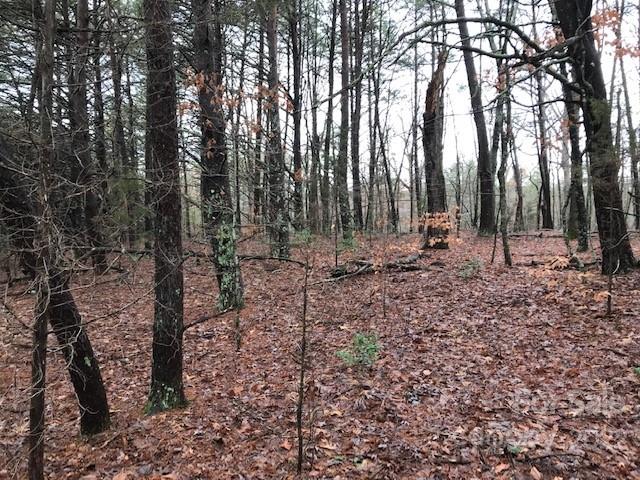356 Harrison Road Bostic, NC 28018 - Photo 7 of 9 a view of outdoor space with lots of trees