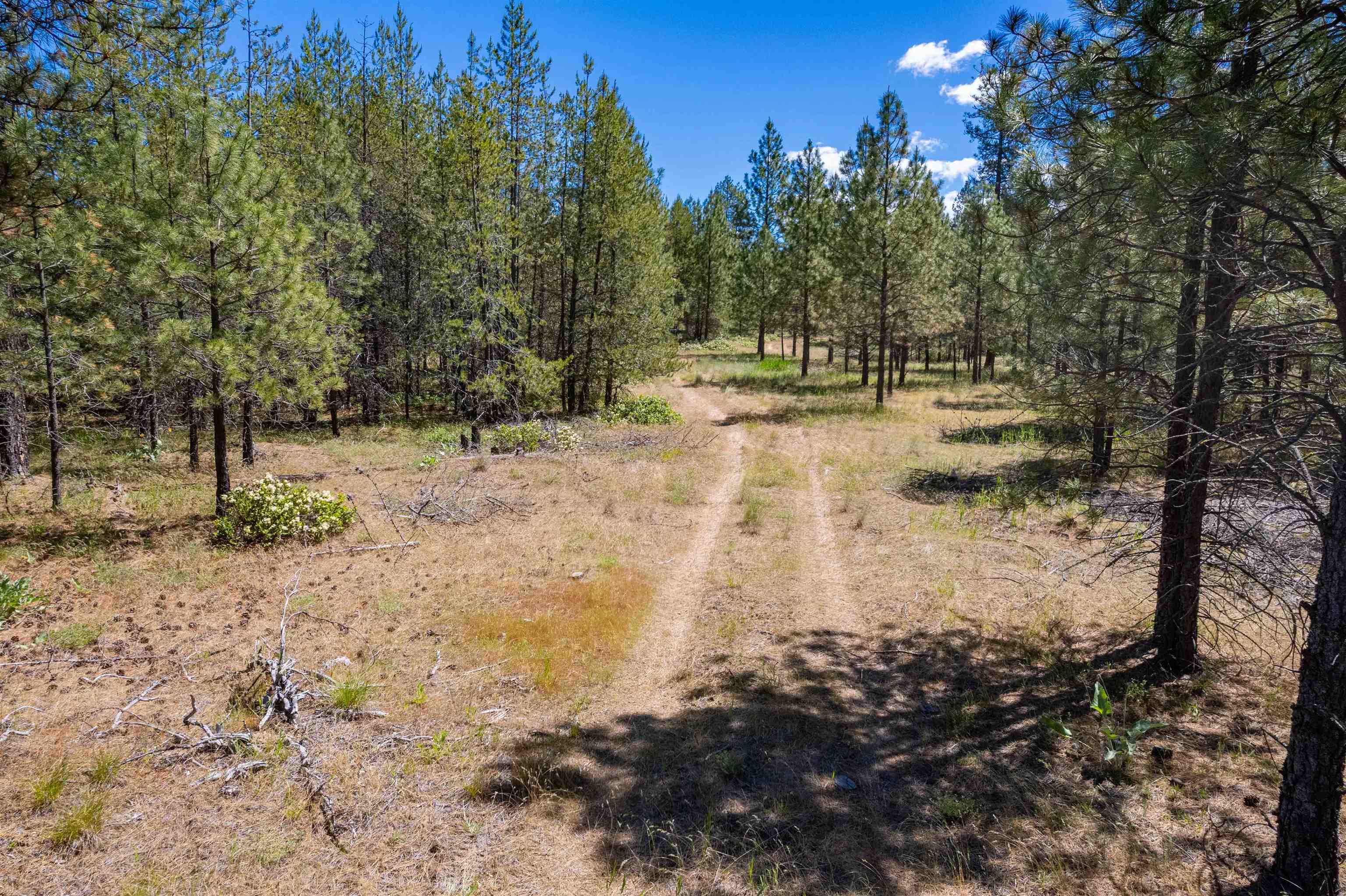 29-xxx North Hardesty Road Chattaroy, WA 99003 - Photo 35 of 40