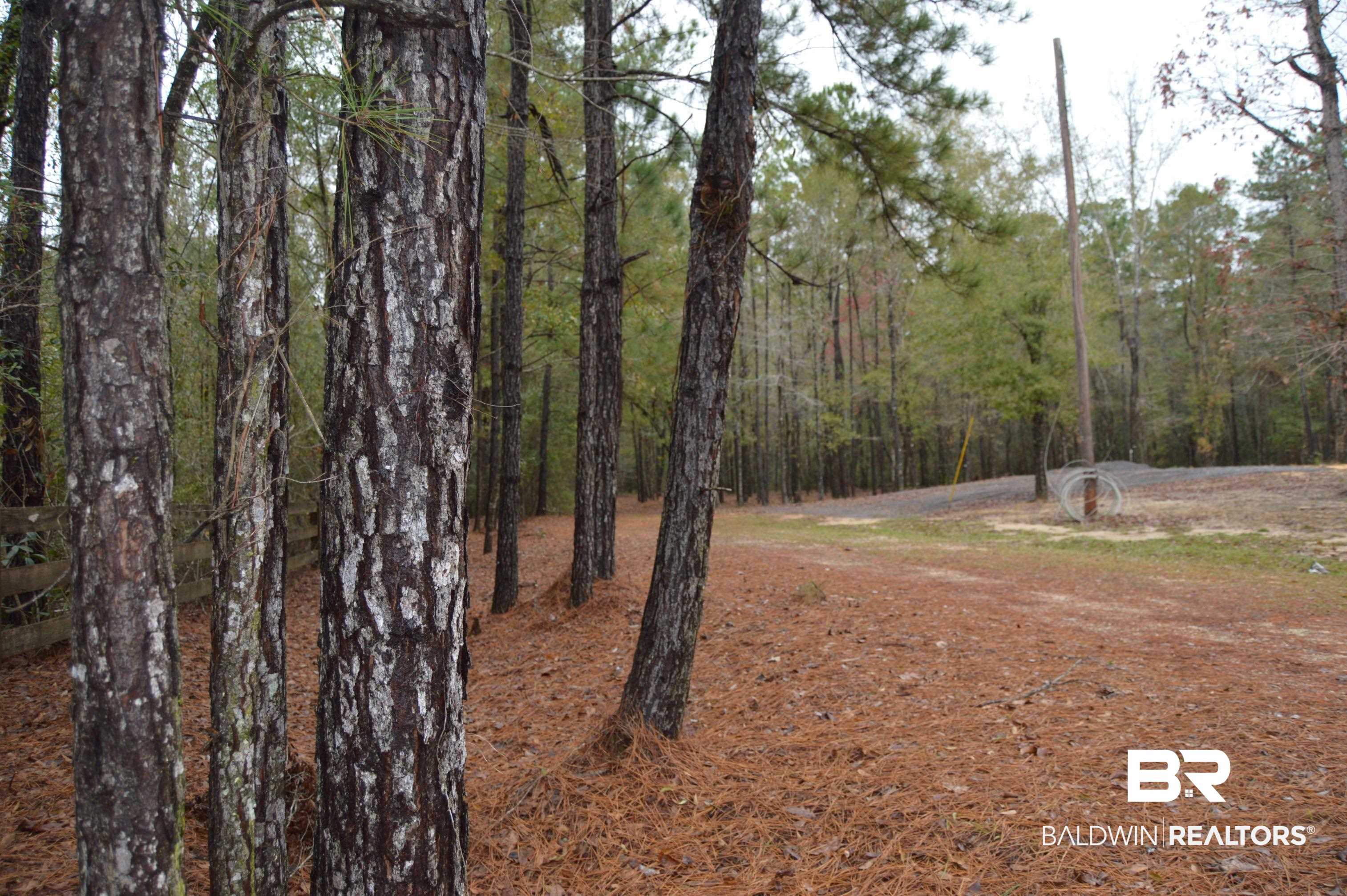 14 Marlin Street Stockton, AL 36579 - Photo 16 of 23 View of yard with a wooded view