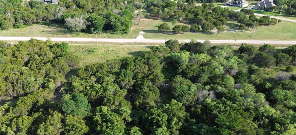 1129 County Road Nemo, TX 76070 - Photo 12 of 29 a view of a yard with a house