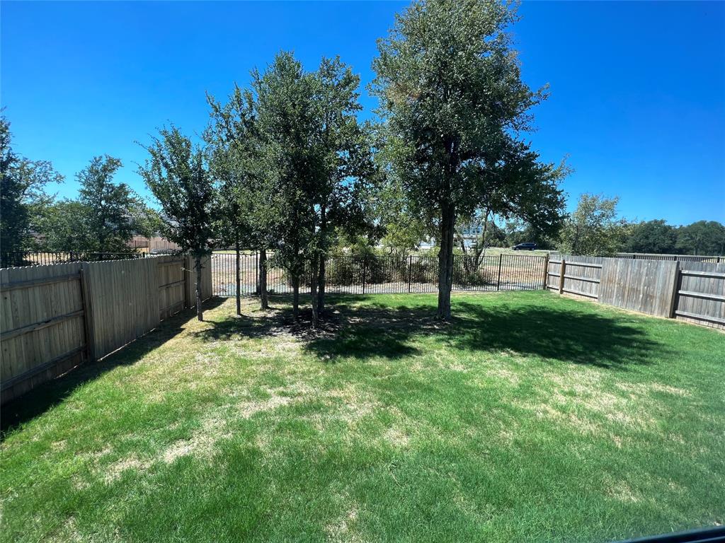 128 Free Stone Drive Georgetown, TX 78628 - Photo 28 of 29 Expansive backyard featuring a lush lawn, mature trees, and a full perimeter wood privacy fence