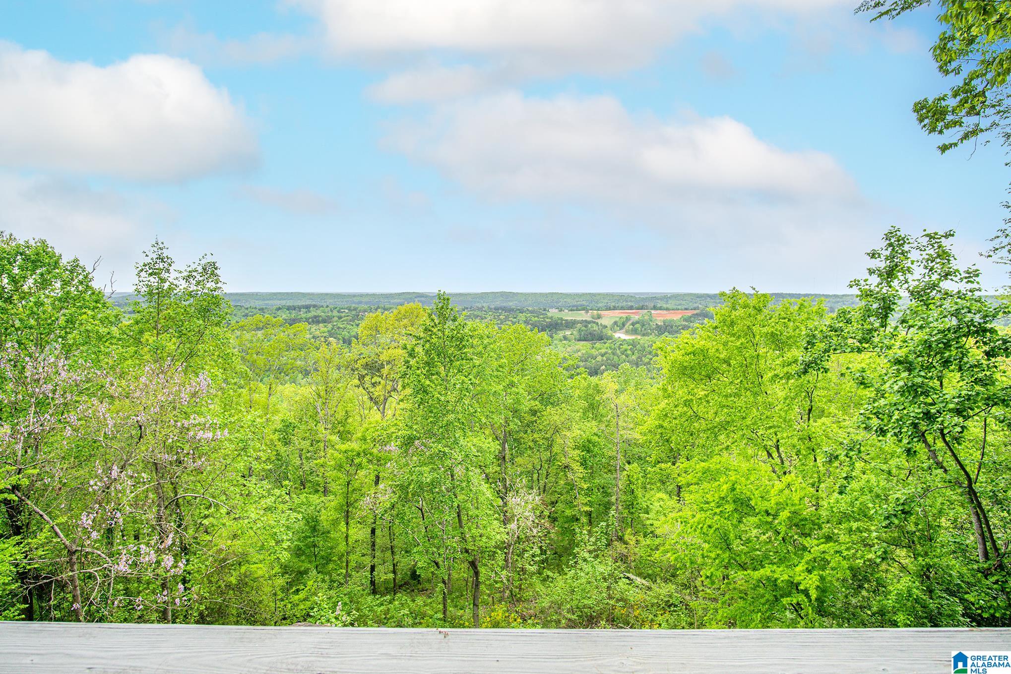 570 Shades Crest Road Birmingham, AL 35226 - Photo 36 of 39