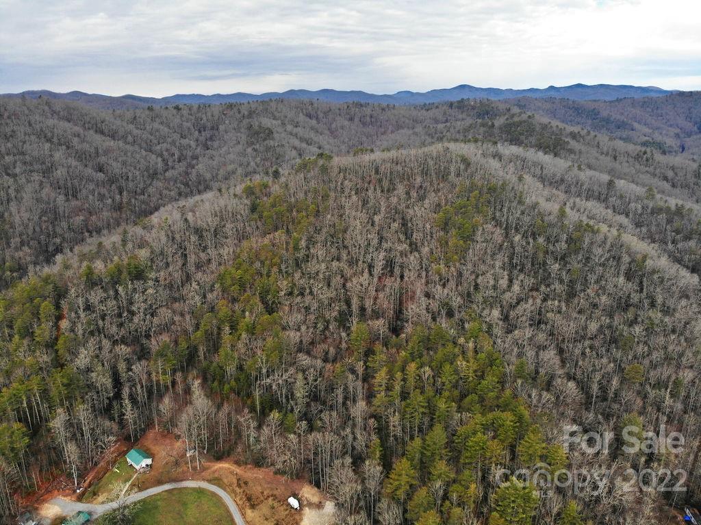 Tbd Israel Road Brevard, NC 28712 - Photo 11 of 16 Gallery Image 11