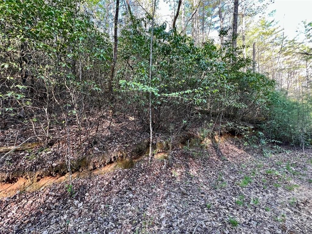 Tbd Israel Road Brevard, NC 28712 - Photo 12 of 16 Gallery Image 12