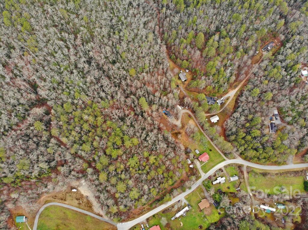 Tbd Israel Road Brevard, NC 28712 - Photo 14 of 16 Gallery Image 14