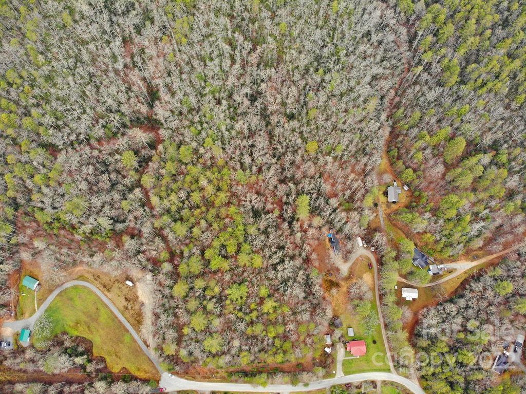 Tbd Israel Road Brevard, NC 28712 - Photo 16 of 16 Gallery Image 16