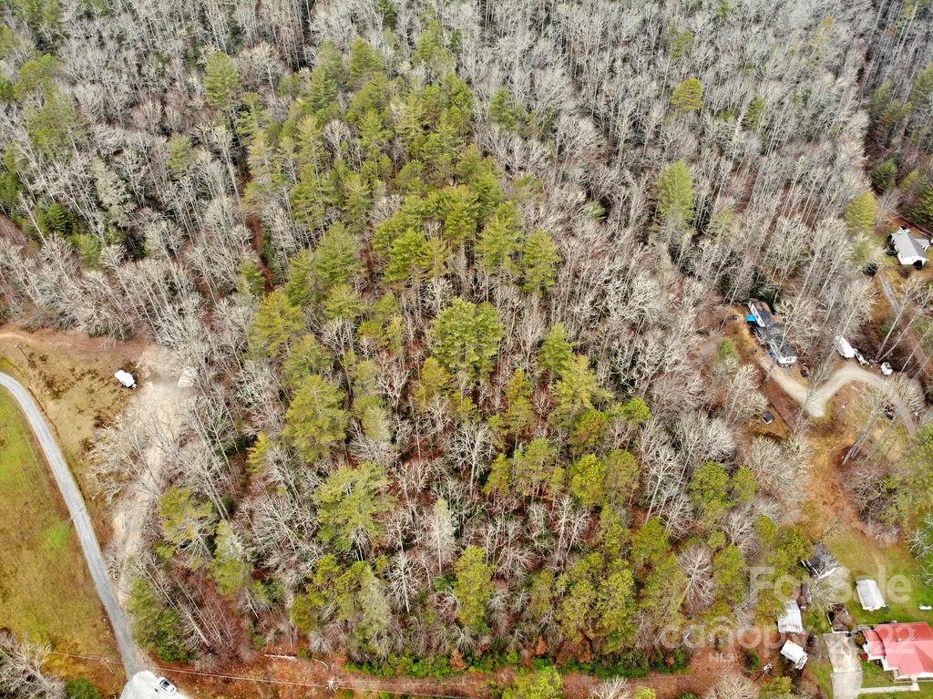 Tbd Israel Road Brevard, NC 28712 - Photo 2 of 16 Gallery Image 2