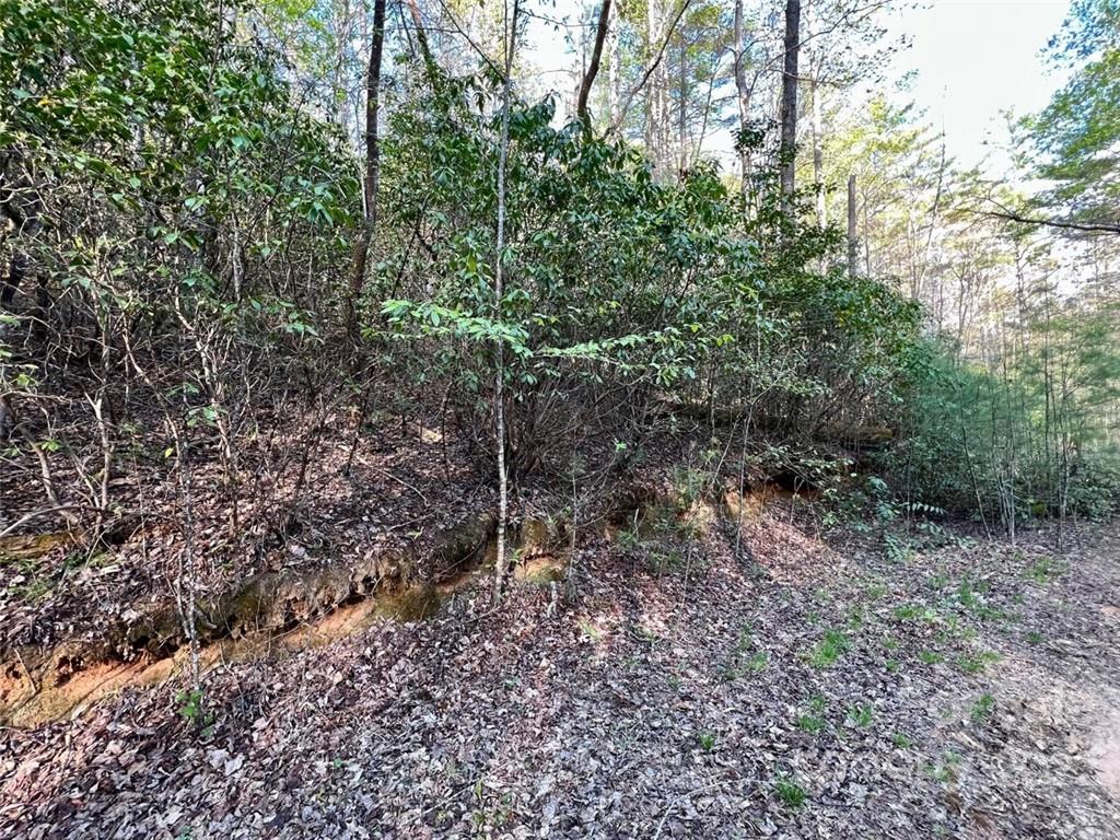 Tbd Israel Road Brevard, NC 28712 - Photo 4 of 16 Gallery Image 4