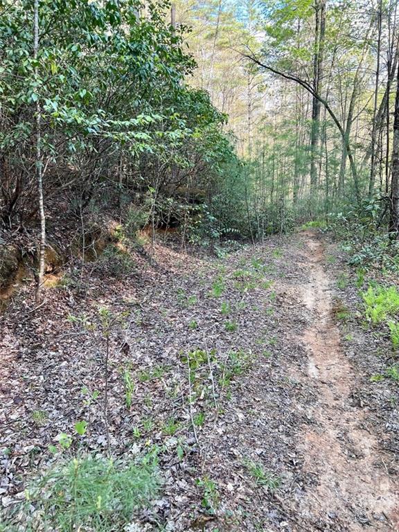 Tbd Israel Road Brevard, NC 28712 - Photo 6 of 16 Gallery Image 6
