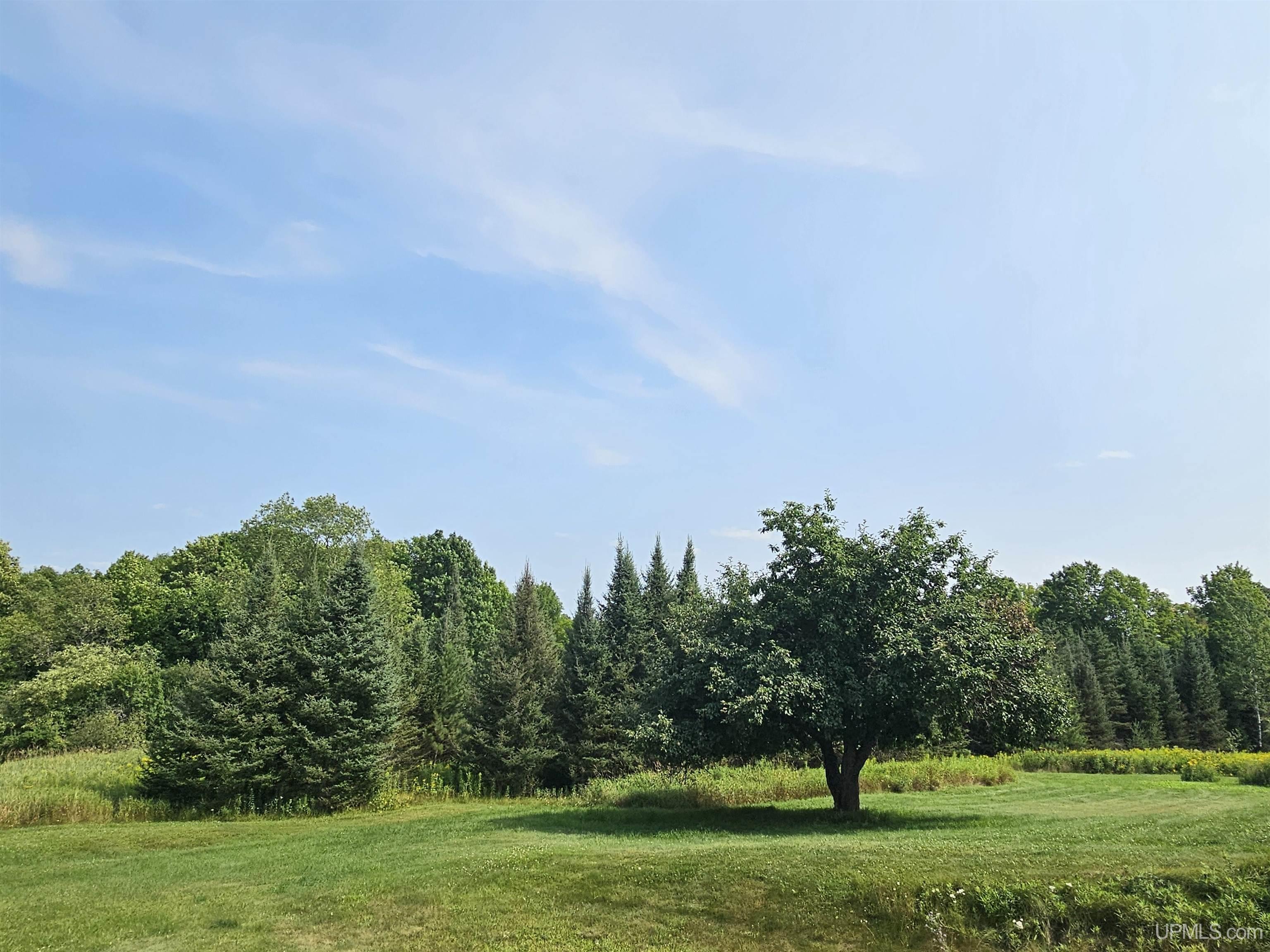 125 Baumgartner Road Iron River, MI 49935 - Photo 24 of 91 Gallery Image 24