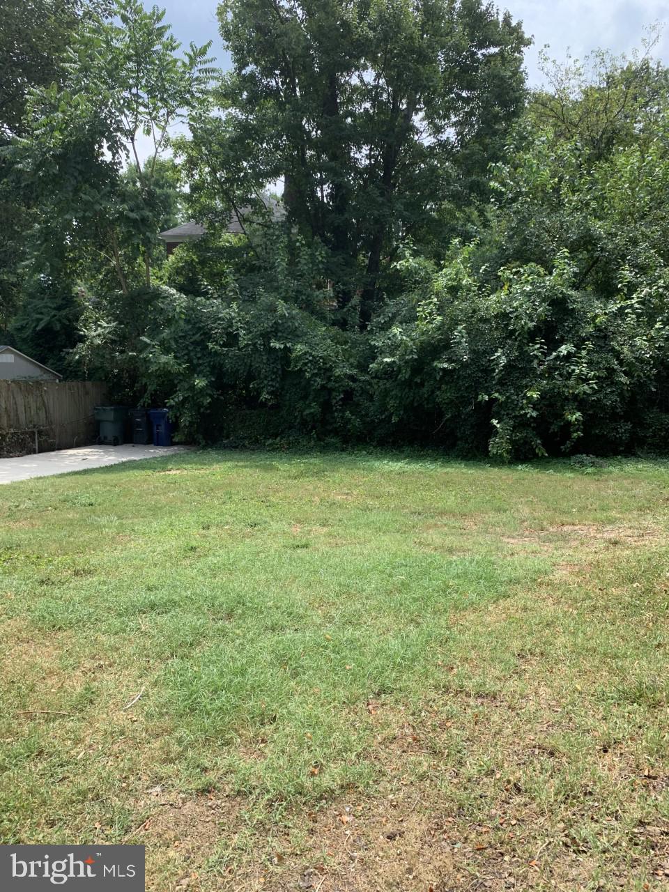 1202 West Braddock Road Alexandria, VA 22302 - Photo 11 of 12 Yard