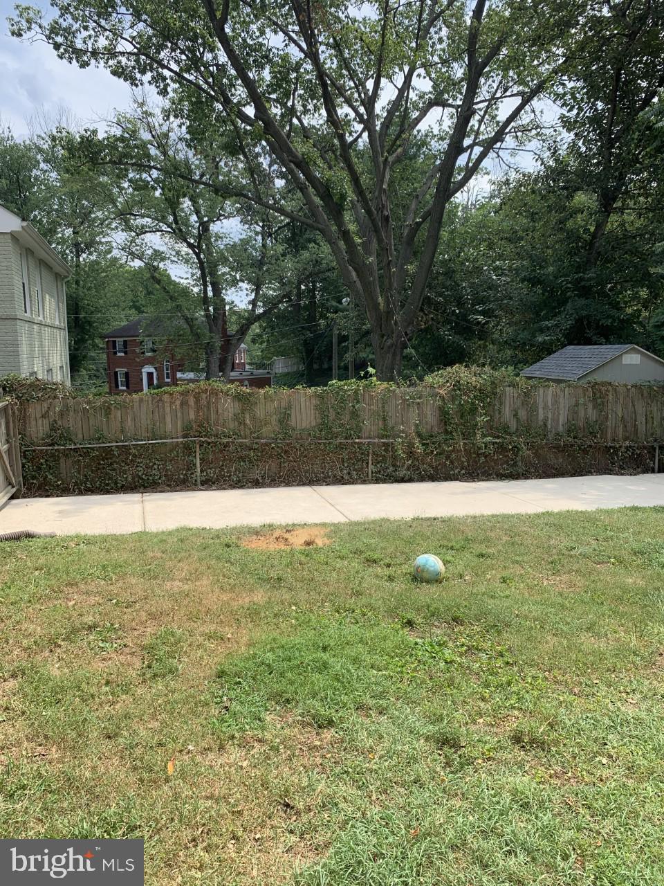 1202 West Braddock Road Alexandria, VA 22302 - Photo 12 of 12 Yard