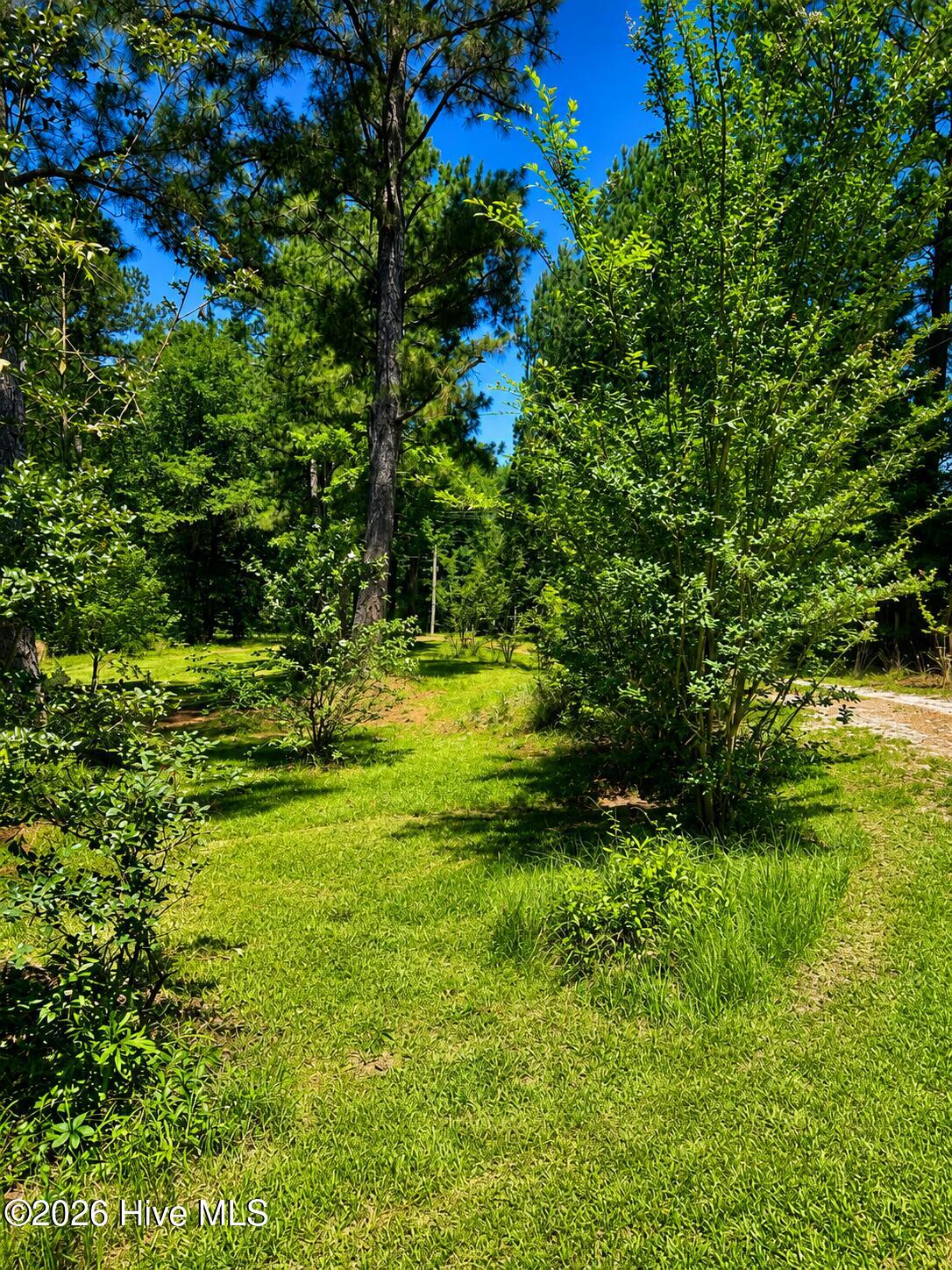 3838 R Tignall Road Washington, GA 30673 - Photo 25 of 26