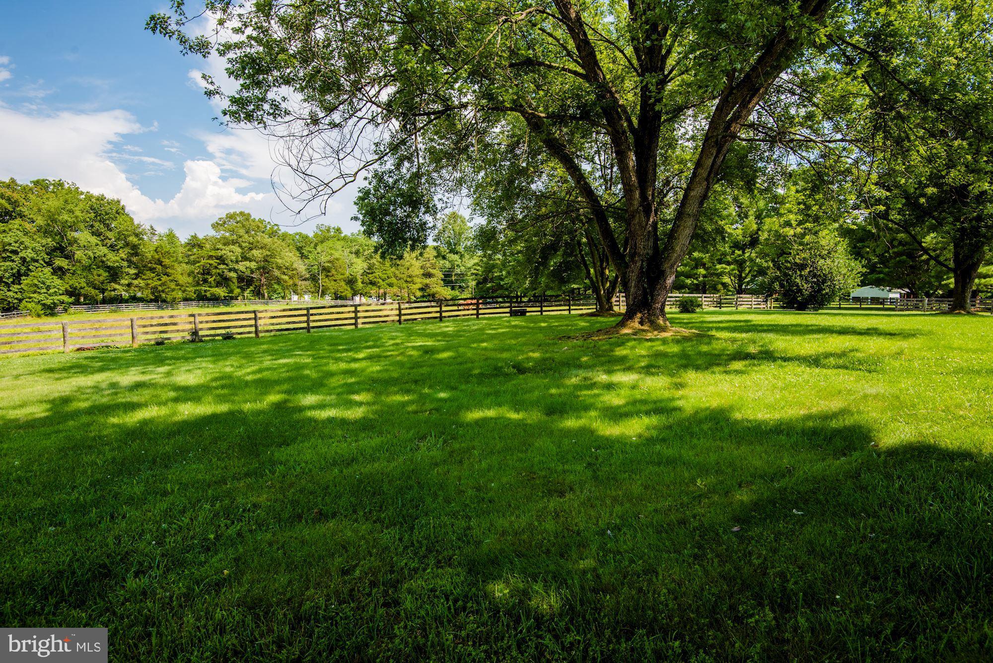 7748 Taylor Road Catlett, VA 20119 - Photo 4 of 38 A large backyard and 4 lush fenced pastures