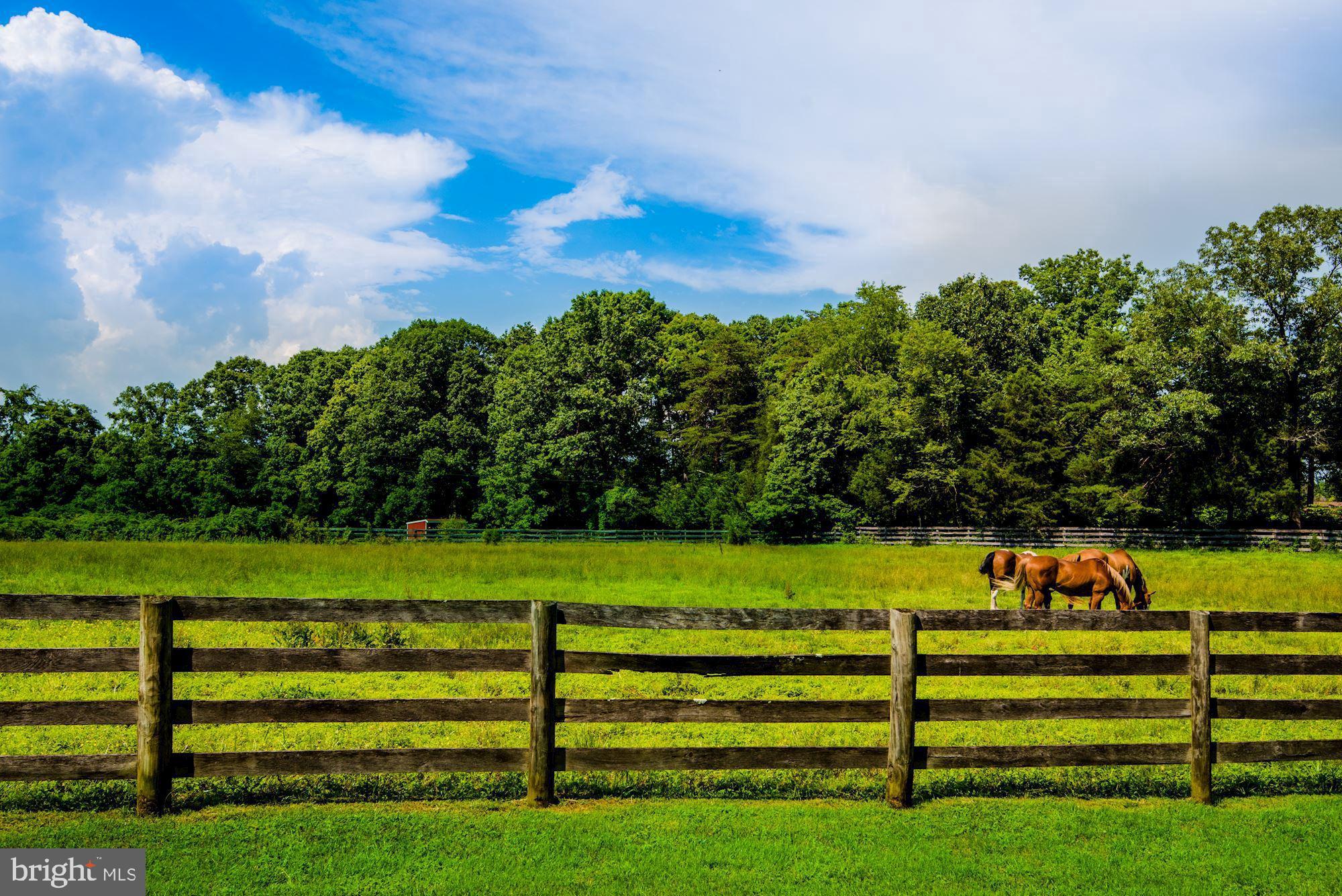 7748 Taylor Road Catlett, VA 20119 - Photo 5 of 38 Gallery Image 5