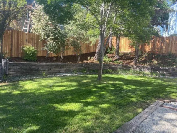 a view of a backyard