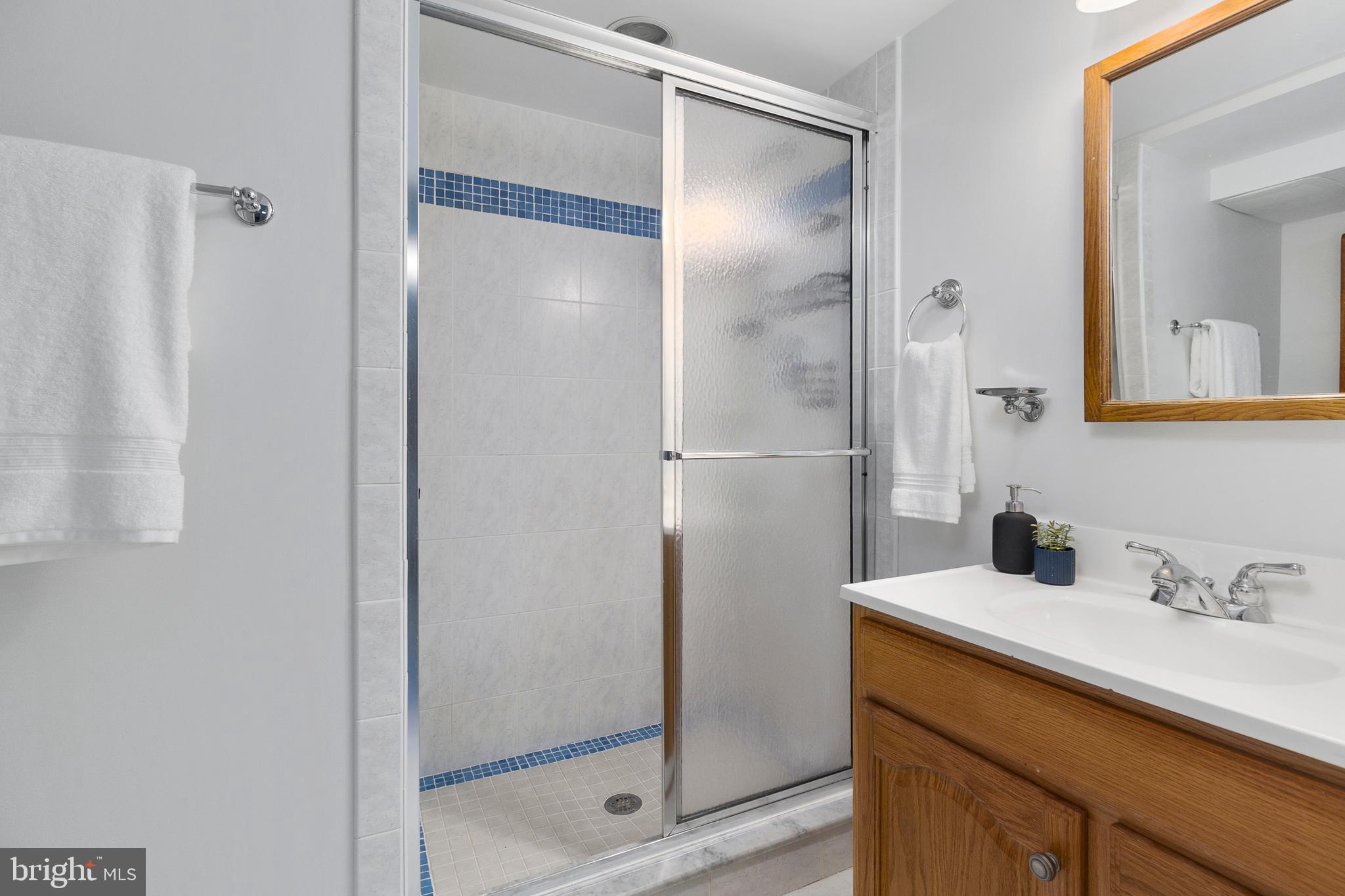 6801 Brisbane Street Springfield, VA 22152 - Photo 23 of 31 Full Bath LL