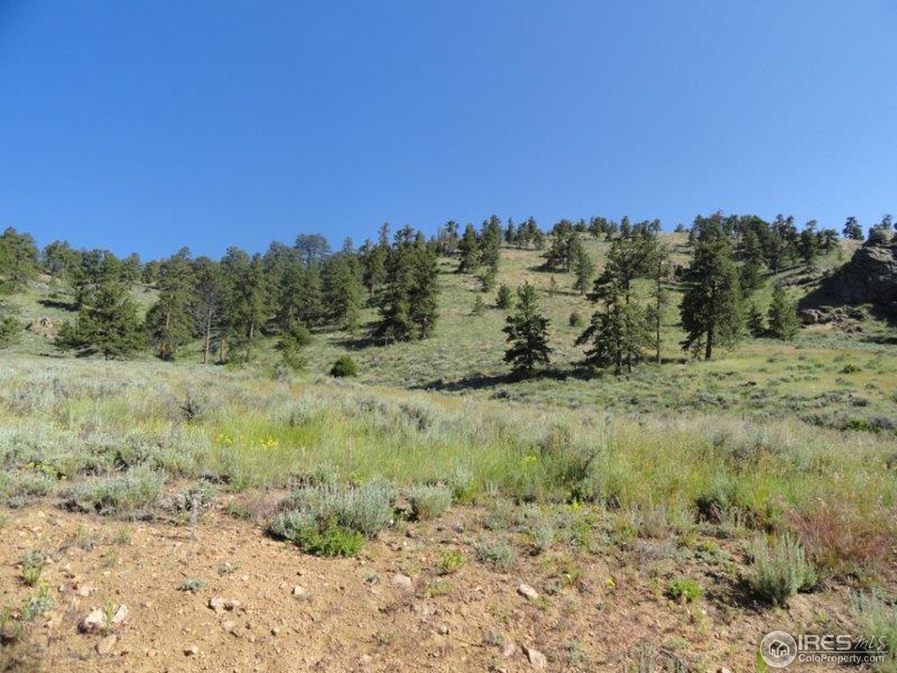 1030 Beartrap Road Red Feather Lakes, CO 80545 - Photo 17 of 19 Gallery Image 17