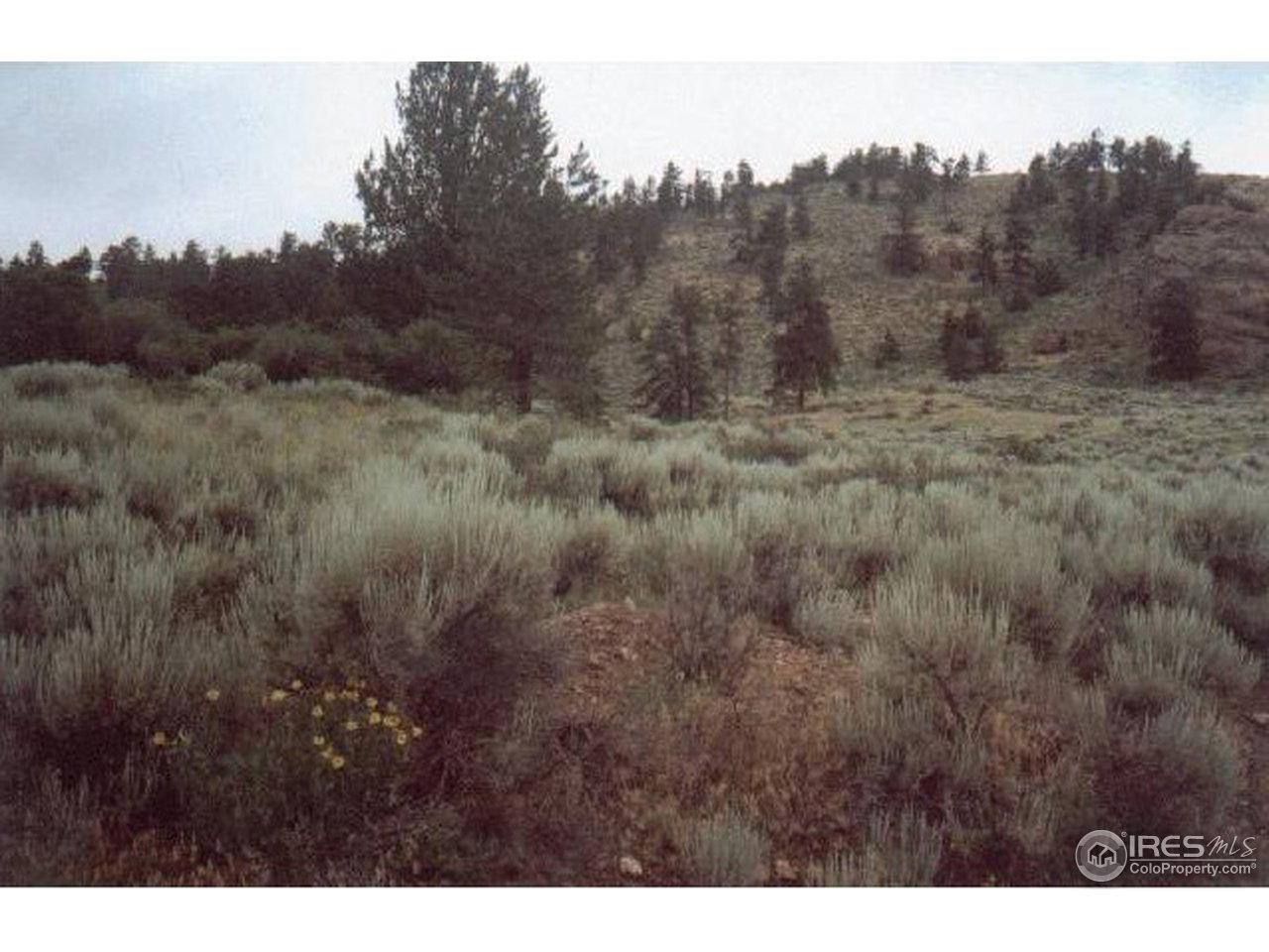 1030 Beartrap Road Red Feather Lakes, CO 80545 - Photo 3 of 19 Gallery Image 3