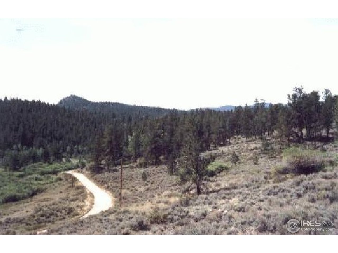 1030 Beartrap Road Red Feather Lakes, CO 80545 - Photo 4 of 19 Gallery Image 4