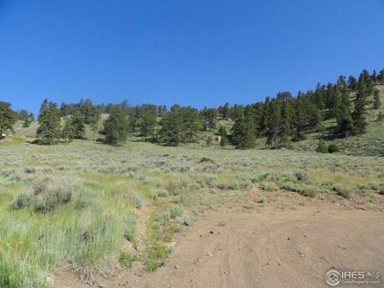1030 Beartrap Road Red Feather Lakes, CO 80545 - Photo 8 of 19 Gallery Image 8