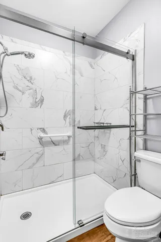 a bathroom with a shower and a toilet