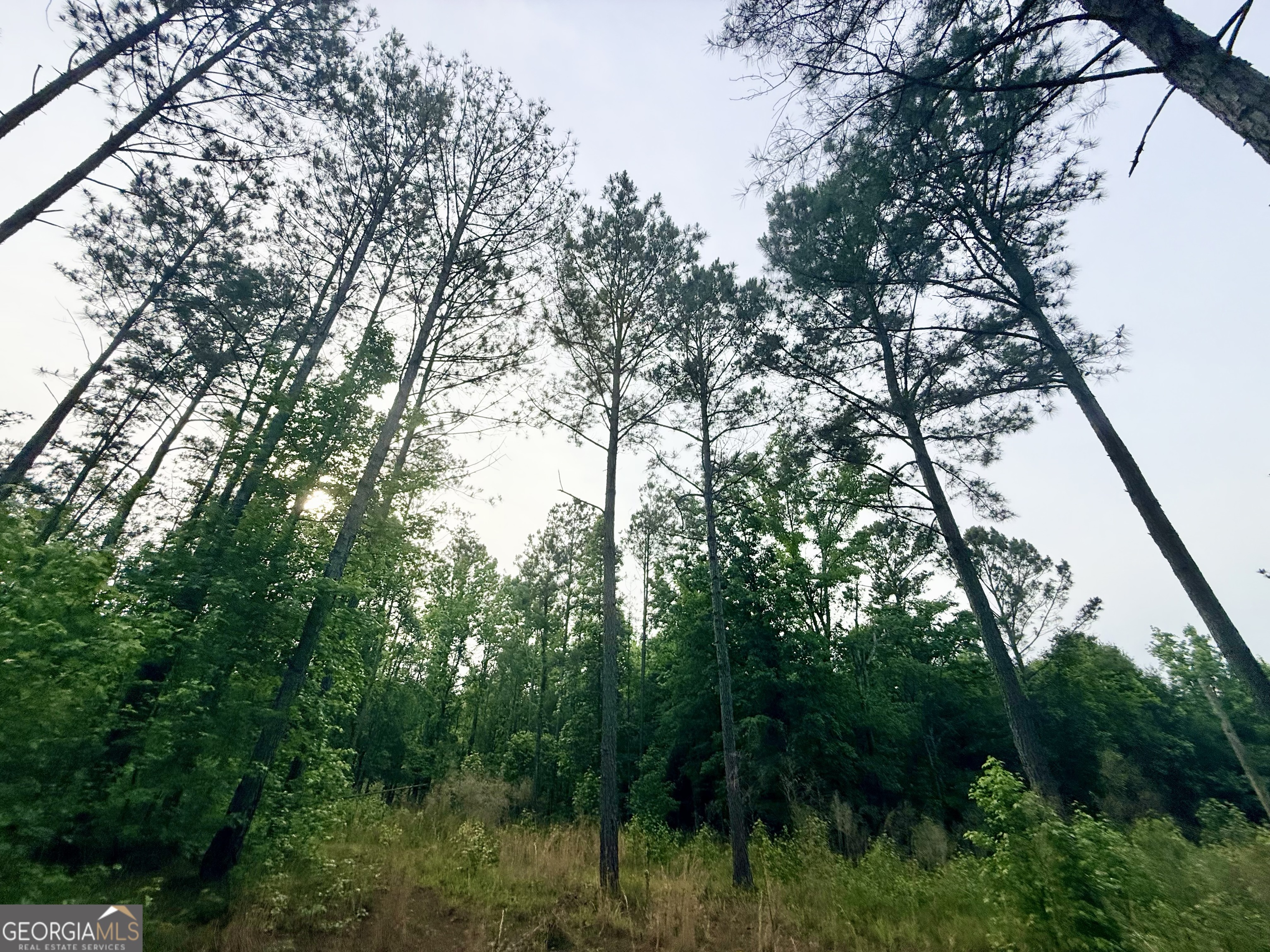 715 Fulsome Creek Road Sparta, GA 31087 - Photo 47 of 117