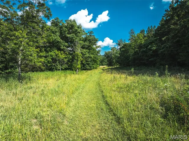 $550,000 | 539 County Road 69A, Black, MO 63625