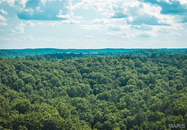 $550,000 | 539 County Road 69A, Black, MO 63625