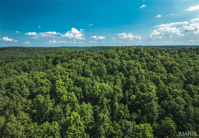 $550,000 | 539 County Road 69A, Black, MO 63625