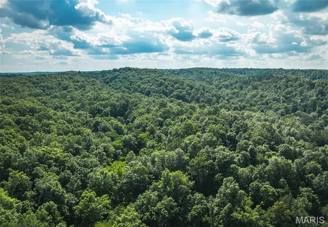 $550,000 | 539 County Road 69A, Black, MO 63625