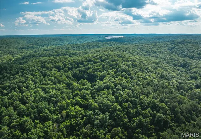 $550,000 | 539 County Road 69A, Black, MO 63625