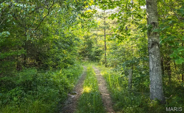 $550,000 | 539 County Road 69A, Black, MO 63625