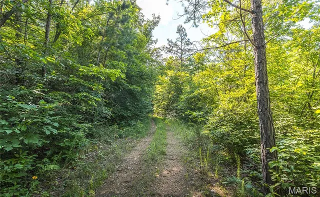 $550,000 | 539 County Road 69A, Black, MO 63625