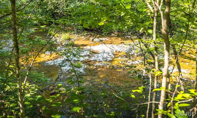 $550,000 | 539 County Road 69A, Black, MO 63625