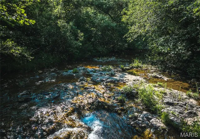 $550,000 | 539 County Road 69A, Black, MO 63625