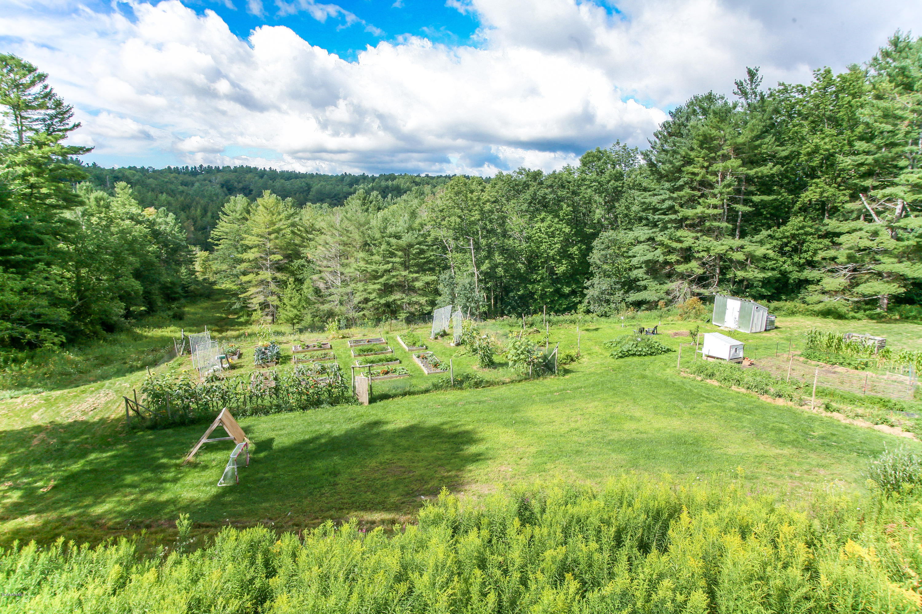 394 Main Road Monterey, MA 01245 - Photo 3 of 33 a view of yard with green space