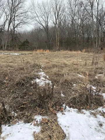 $29,500 | 909-911 South Wilson Street, Benton, IL 62812