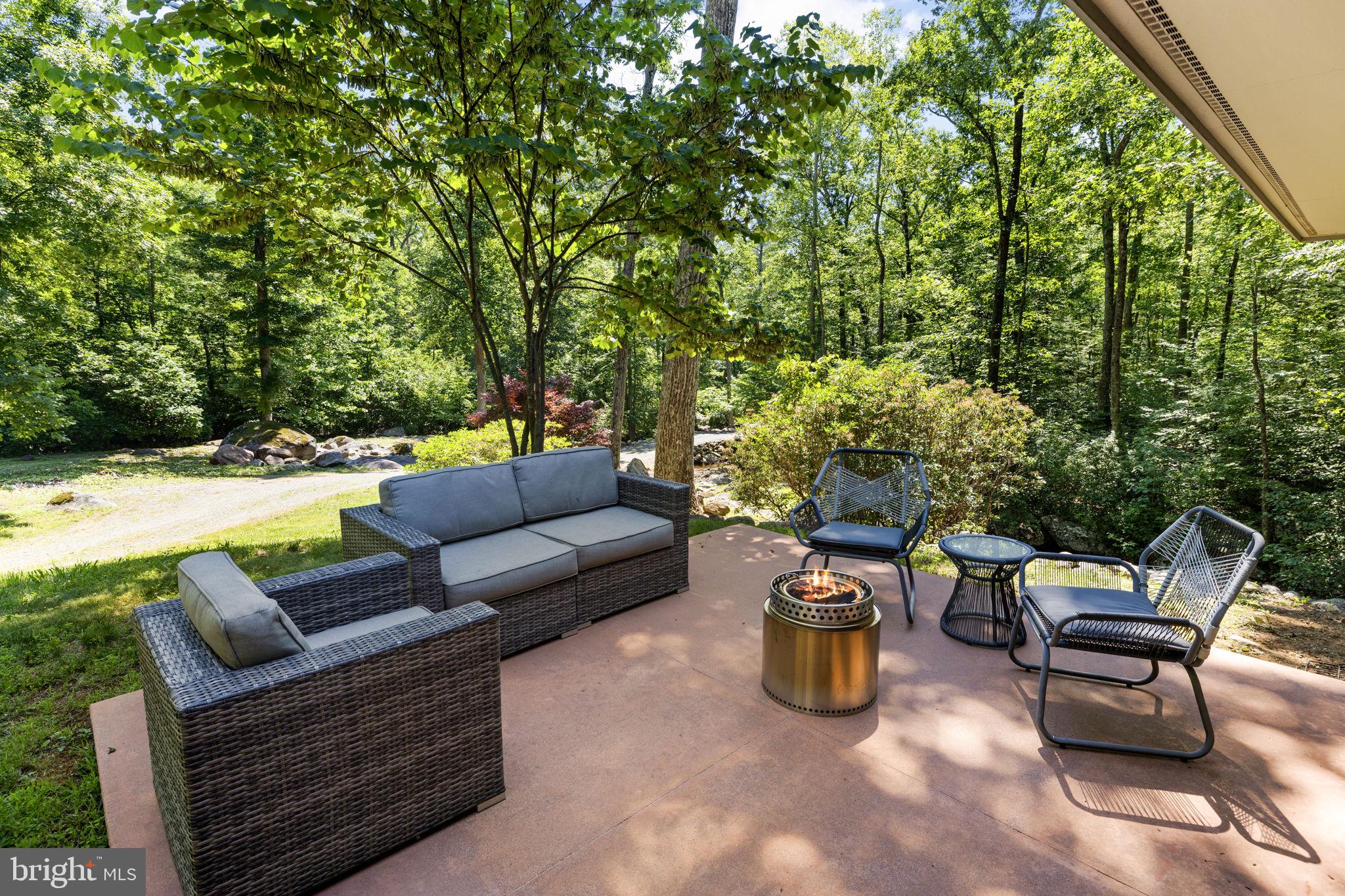 1319 Champe Plain Road Etlan, VA 22719 - Photo 41 of 63 Outside Patio overlooking Stream
