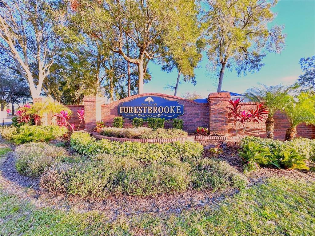 280 Wallrock Drive Ocoee, FL 34761 - Photo 85 of 88