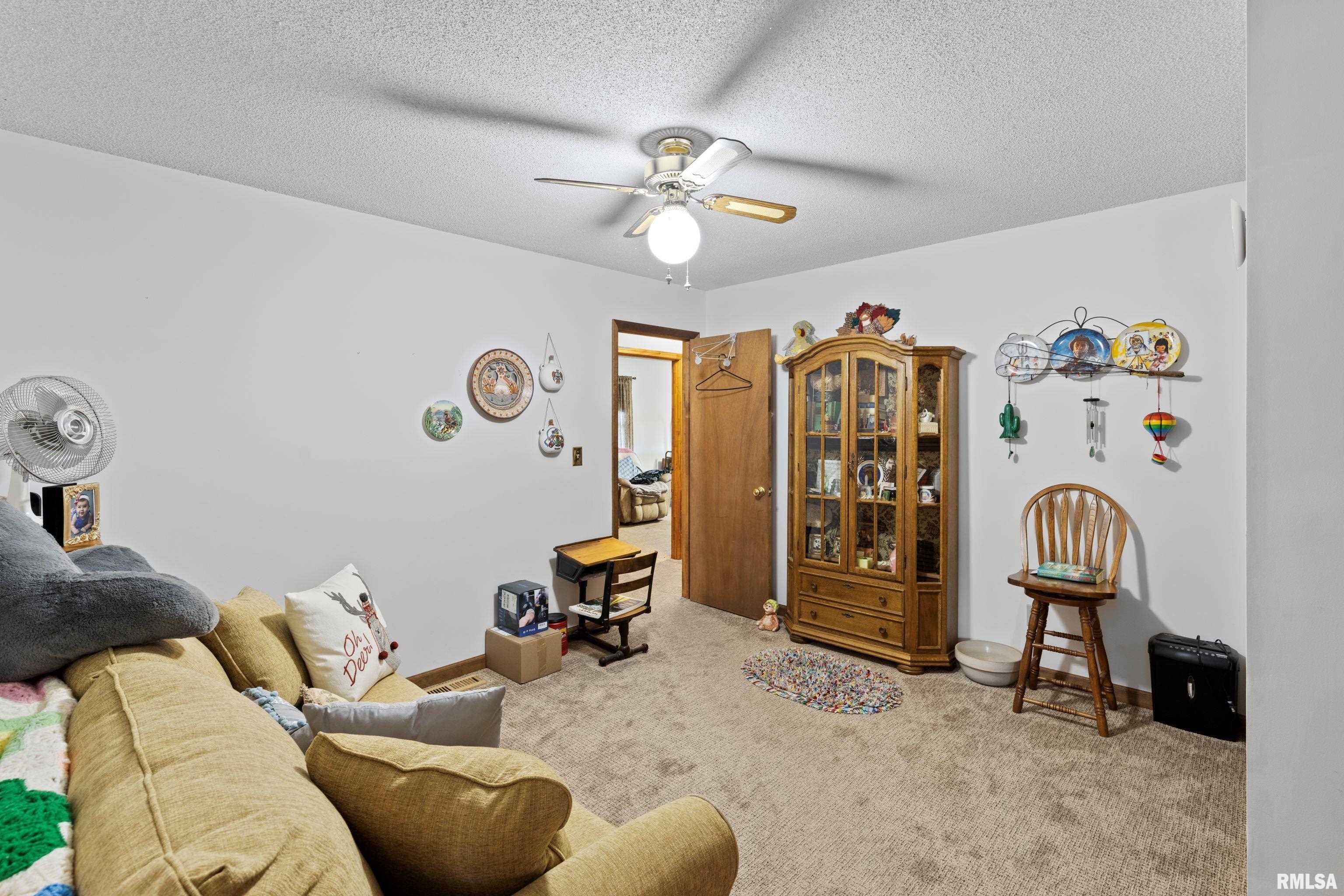 15107 Liberty School Road Marion, IL 62959 - Photo 20 of 35