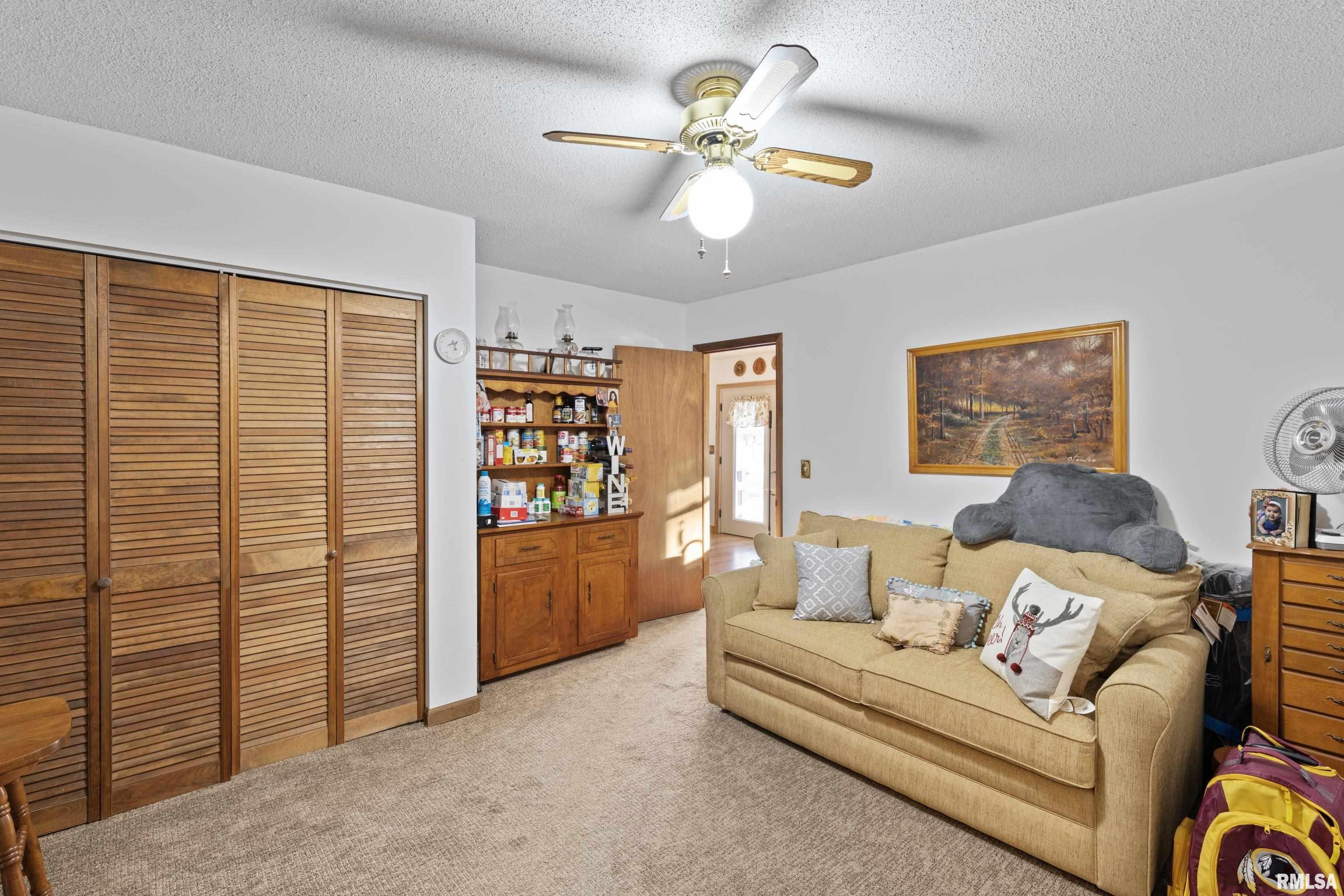 15107 Liberty School Road Marion, IL 62959 - Photo 21 of 35