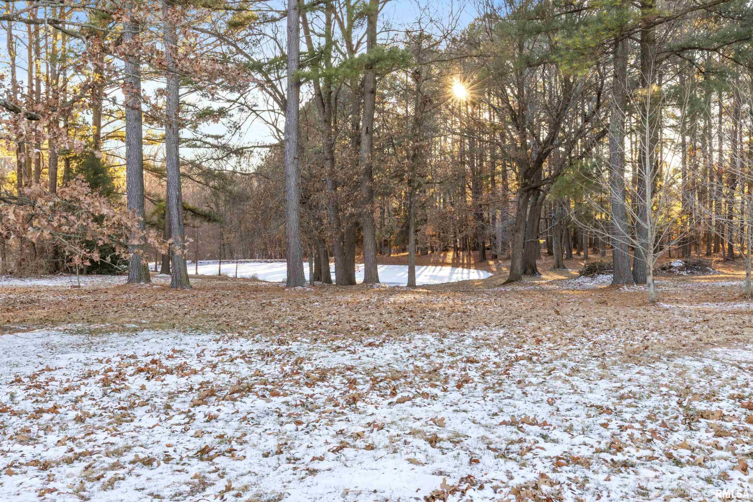 15107 Liberty School Road Marion, IL 62959 - Photo 26 of 35