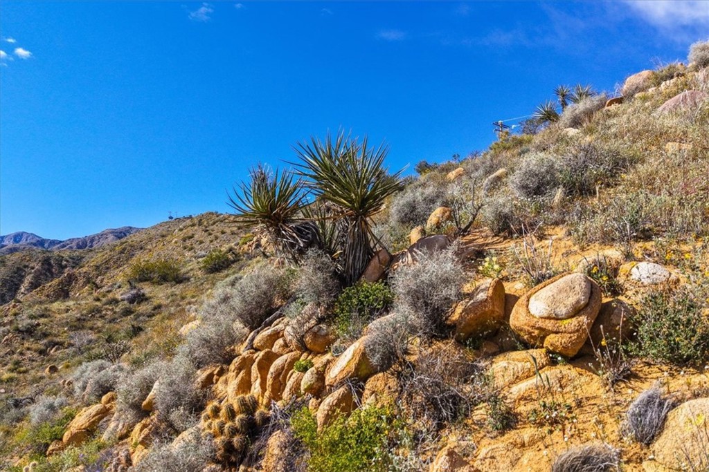 8500 South Samel Road Morongo Valley, CA 92256 - Photo 54 of 75