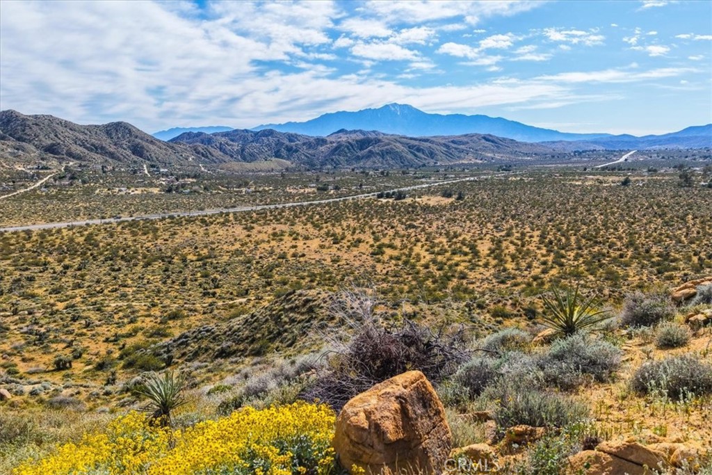 8500 South Samel Road Morongo Valley, CA 92256 - Photo 61 of 75