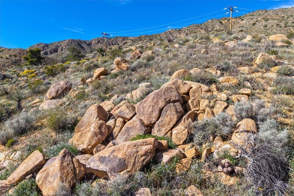 8500 South Samel Road Morongo Valley, CA 92256 - Photo 62 of 75