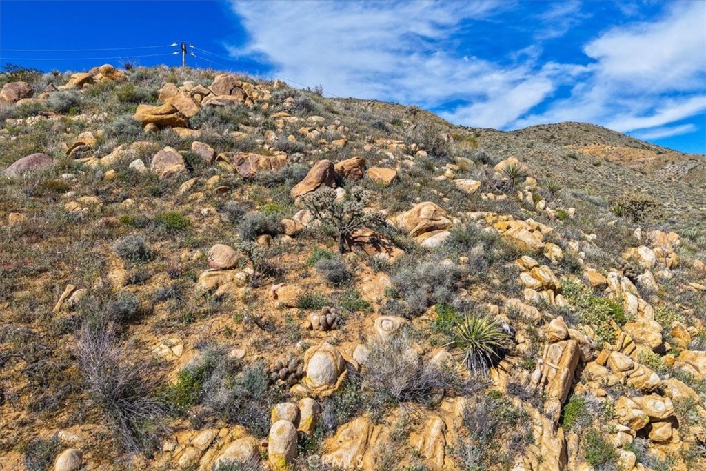 8500 South Samel Road Morongo Valley, CA 92256 - Photo 63 of 75