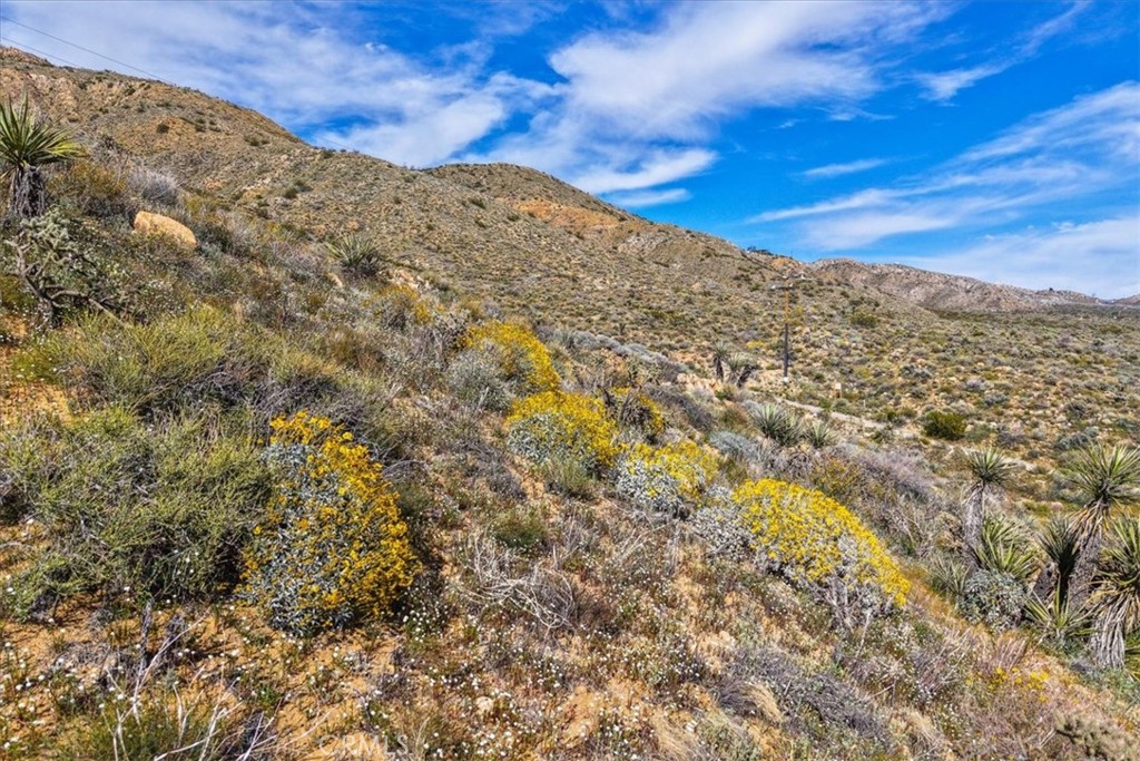 8500 South Samel Road Morongo Valley, CA 92256 - Photo 64 of 75 a view of a snow on a mountain